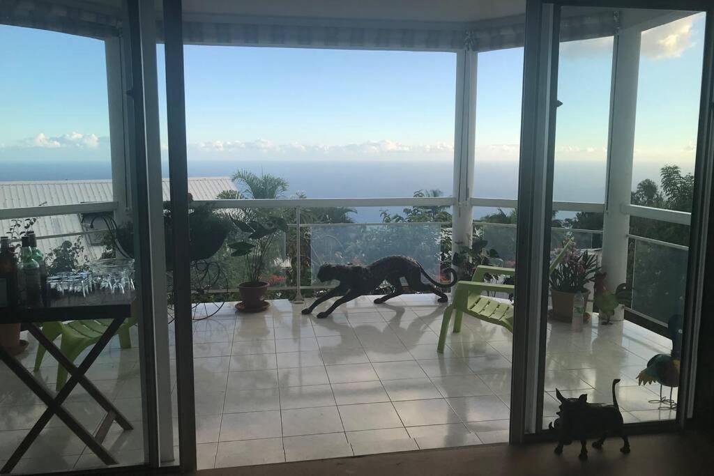 St Leu -Villa D'Artiste, Superbe Vue Mer, Piscine Chauffee 圣勒 外观 照片